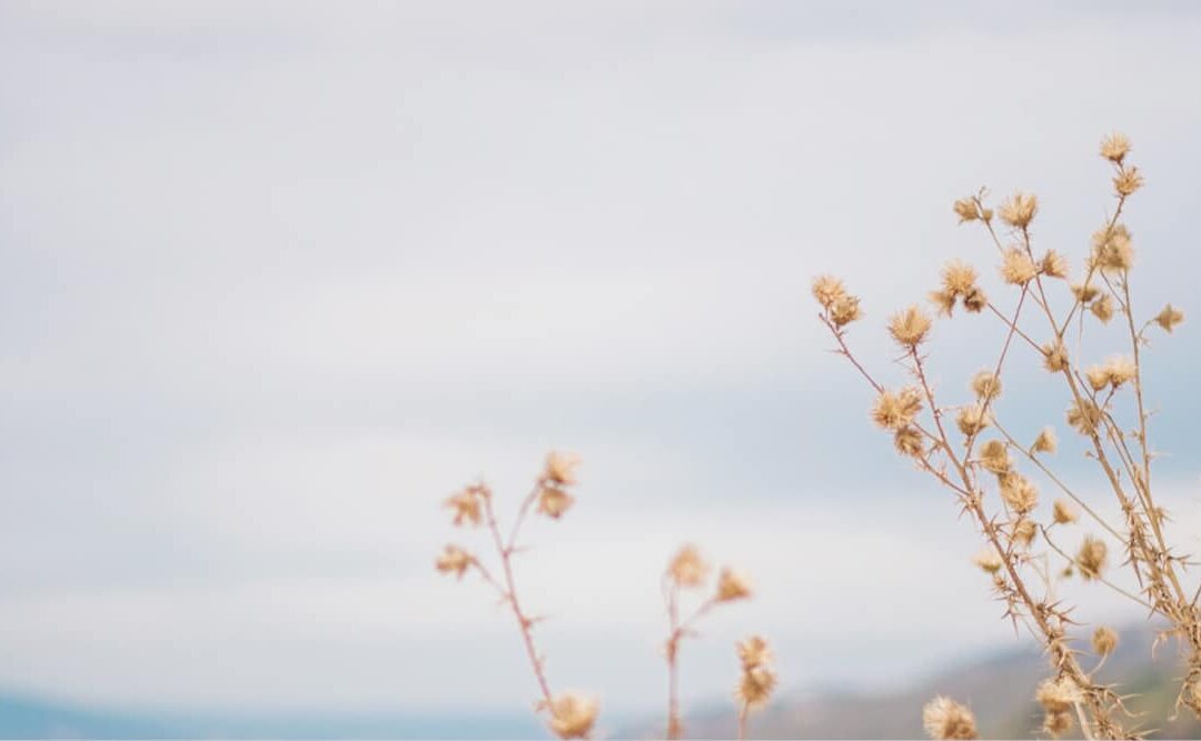 Bremerton Catholic Parish Retreats